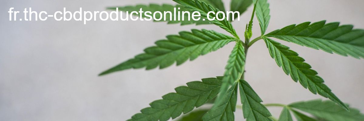 fr.thc-cbdproductsonline.com
